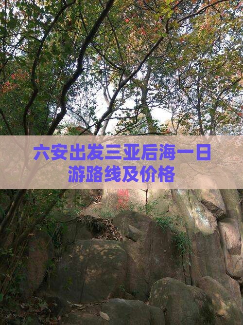 六安出发三亚后海一日游路线及价格
