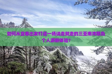 如何从宜春出发打造一场说走就走的三亚南湾猴岛个人游新体验？