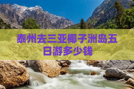 泰州去三亚椰子洲岛五日游多少钱