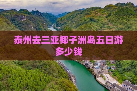 泰州去三亚椰子洲岛五日游多少钱