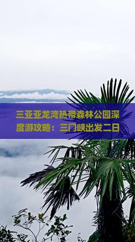 三亚亚龙湾热带森林公园深度游攻略：三门峡出发二日游指南