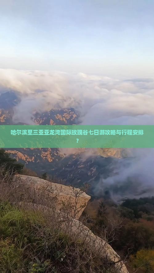 哈尔滨至三亚亚龙湾国际玫瑰谷七日游攻略与行程安排？
