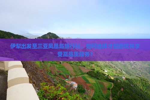 伊犁出发至三亚凤凰岛旅行社，如何选择才能避坑并享受高品质服务？
