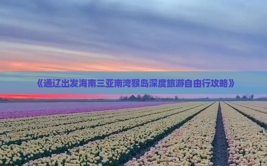 《通辽出发海南三亚南湾猴岛深度旅游自由行攻略》