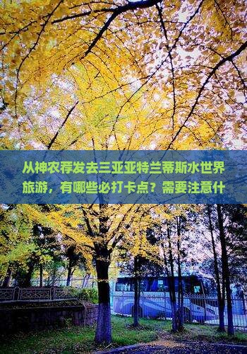 从神农荐发去三亚亚特兰蒂斯水世界旅游，有哪些必打卡点？需要注意什么？