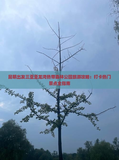 昆明出发三亚亚龙湾热带森林公园旅游攻略:打卡热门景点全指南 昆明出发三亚亚龙湾热带森林公园旅游攻略:打卡热门景点全指南