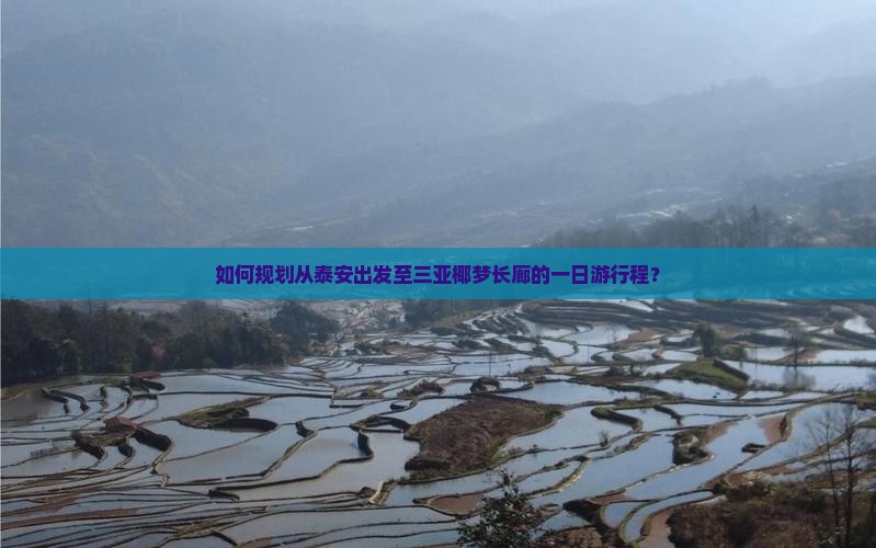 如何规划从泰安出发至三亚椰梦长廊的一日游行程？