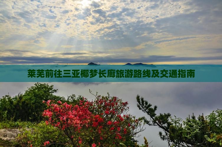 莱芜前往三亚椰梦长廊旅游路线及交通指南
