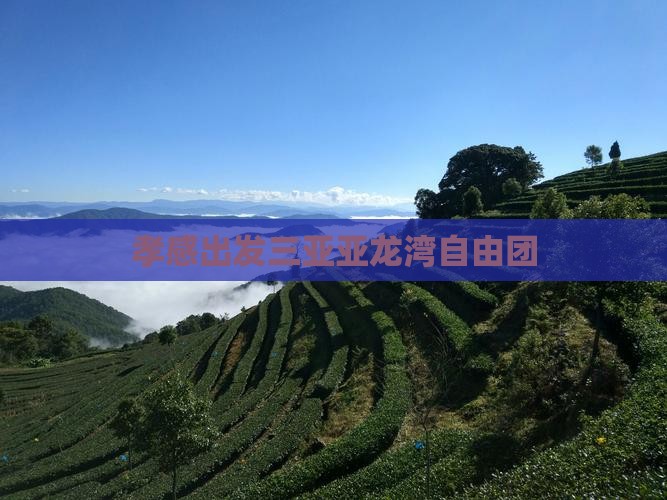孝感出发三亚亚龙湾自由团