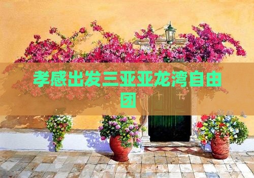 孝感出发三亚亚龙湾自由团