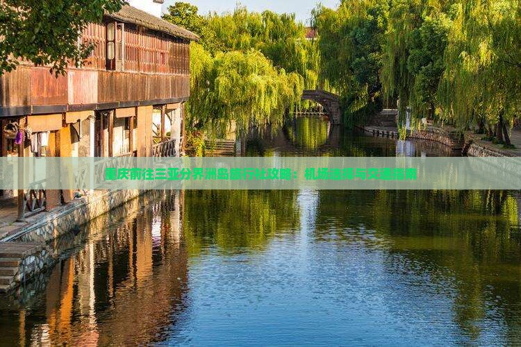 重庆前往三亚分界洲岛旅行社攻略：机场选择与交通指南