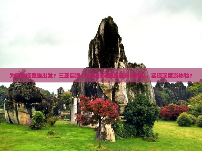 为何选择楚雄出发？三亚后海七日游如何兼顾美景与痛点，实现深度游体验？