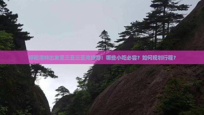 呼和浩特出发至三亚三亚湾旅游：哪些小吃必尝？如何规划行程？