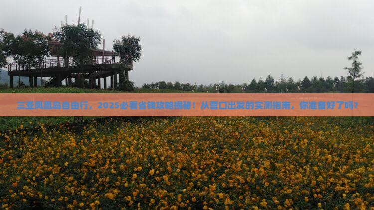 营口出发三亚凤凰岛自由团