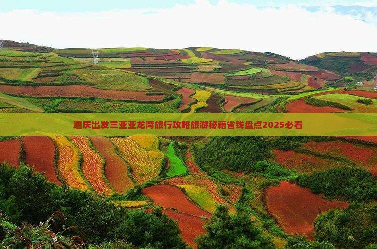 迪庆去三亚亚龙湾旅行社
