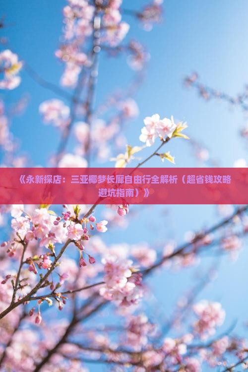 永新前往三亚椰梦长廊自由团