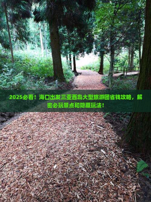 海口出发三亚西岛大型旅游团
