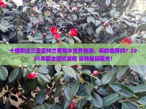 十堰前往三亚亚特兰蒂斯水世界旅游