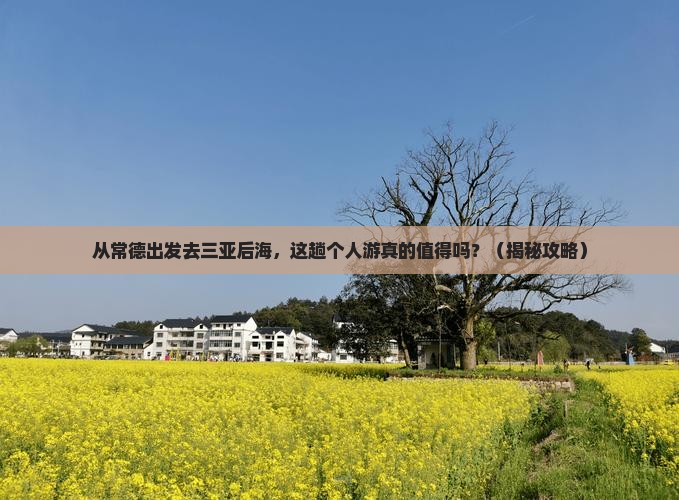 常德出发三亚后海个人游