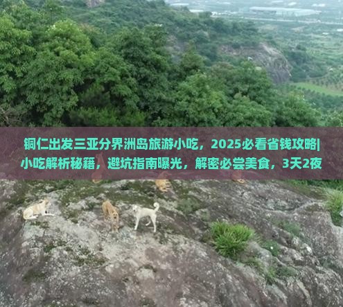铜仁出发三亚分界洲岛旅游小吃