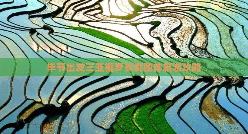 毕节出发三亚椰梦长廊团体旅游