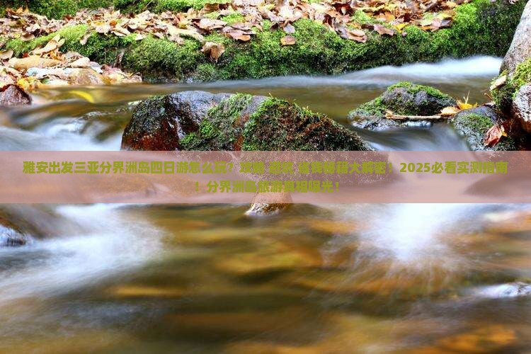 雅安出发三亚分界洲岛四日游