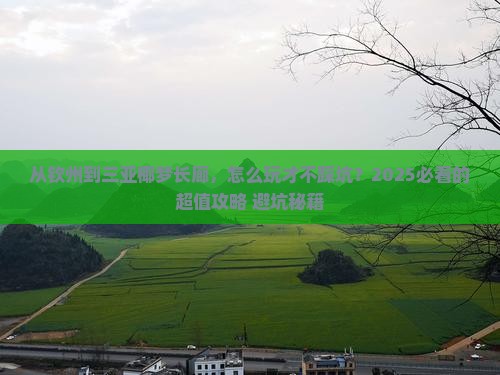 钦州前往三亚椰梦长廊攻略