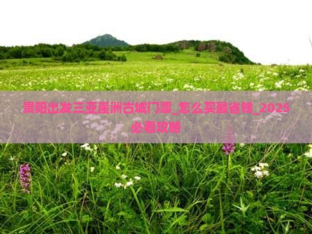 贵阳出发三亚崖洲古城门票