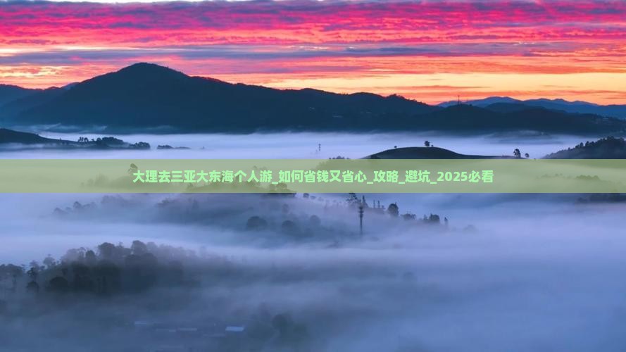 大理去三亚大东海个人游