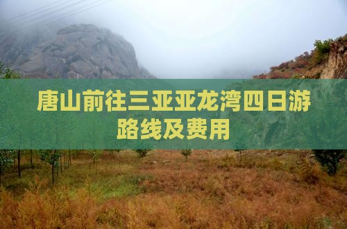 唐山前往三亚亚龙湾四日游