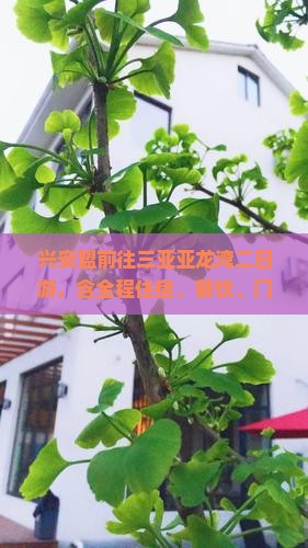 兴安盟前往三亚亚龙湾二日游