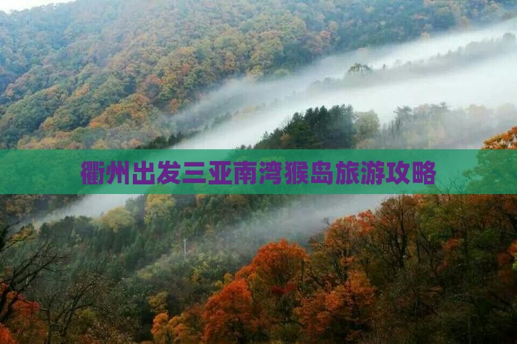 衢州出发三亚南湾猴岛旅游网红地点