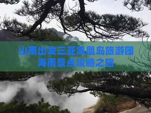 山南出发三亚凤凰岛大型旅游团