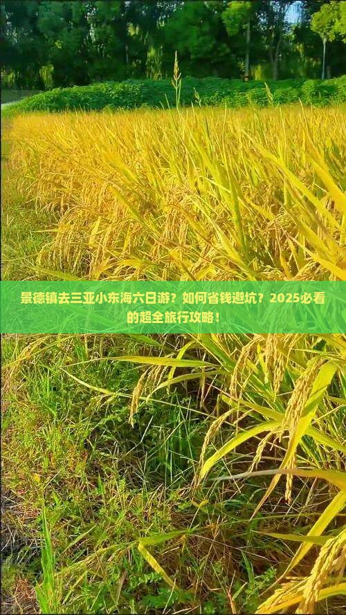 景德镇去三亚小东海六日游