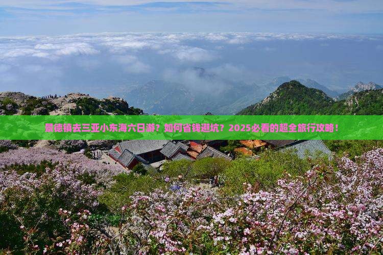 景德镇去三亚小东海六日游