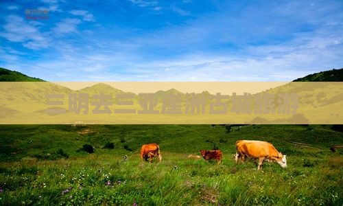 三明去三亚崖洲古城旅游