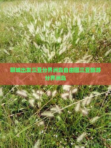 聊城出发三亚分界洲岛自由团
