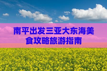 南平出发三亚大东海旅游小吃
