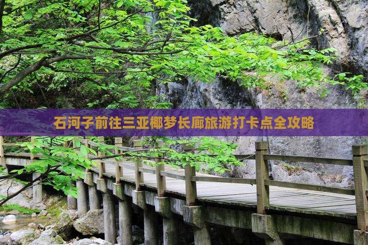 石河子前往三亚椰梦长廊旅游打卡点