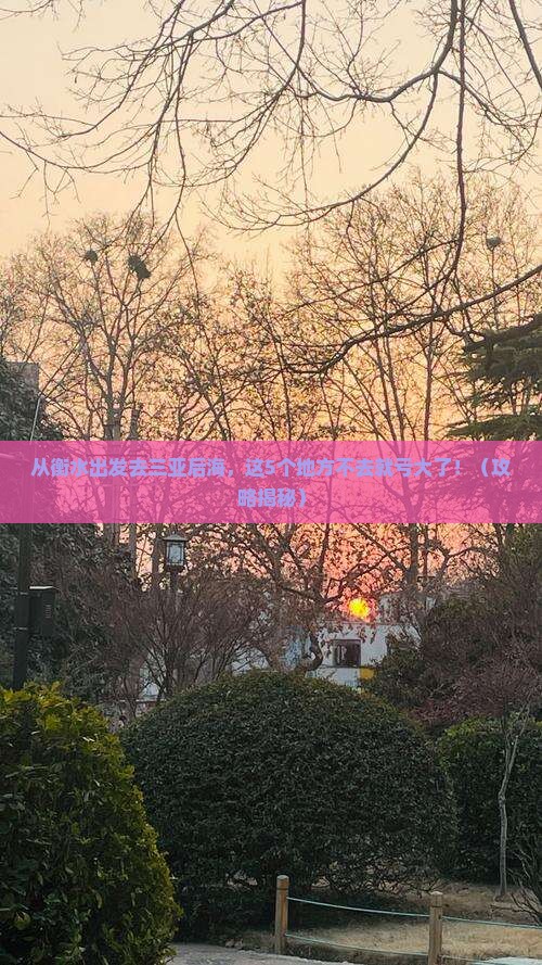 衡水出发三亚后海必玩地