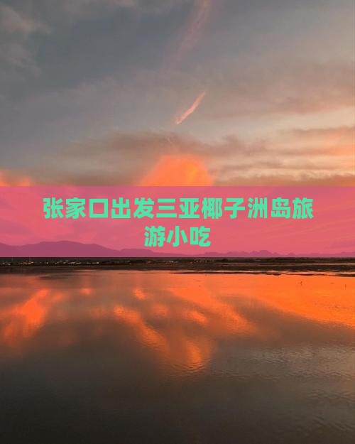 张家口出发三亚椰子洲岛旅游小吃