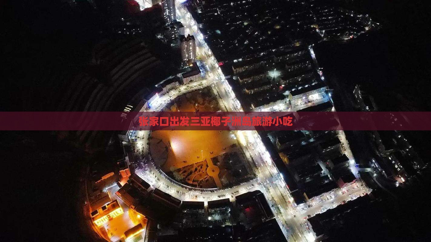 张家口出发三亚椰子洲岛旅游小吃