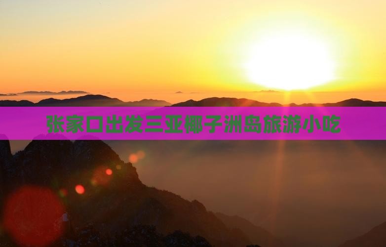 张家口出发三亚椰子洲岛旅游小吃