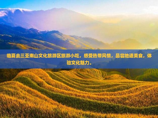 临夏去三亚南山文化旅游区旅游小吃