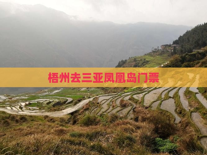 梧州去三亚凤凰岛门票