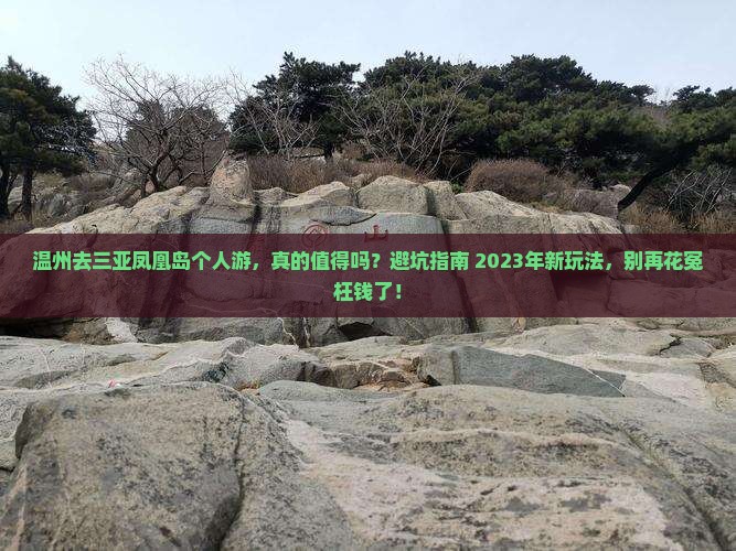 温州去三亚凤凰岛个人游