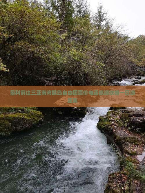 垦利前往三亚南湾猴岛自由团