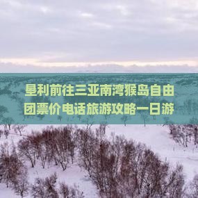 垦利前往三亚南湾猴岛自由团