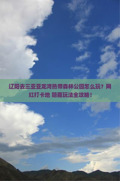 辽阳前往三亚亚龙湾热带森林公园旅游网红地点