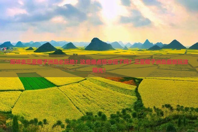 廊坊去三亚椰子洲岛必玩地